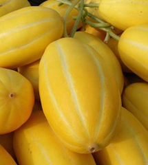 Yellow sweet honey