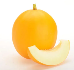 Round Yellow Smooth Skin with White Flesh Thick Melon Seeds