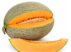 Sweet F1 Oval Green Hami Seeds