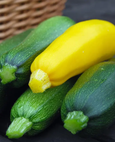 Chinese Yellow Skin Hybrid Squash/Zucchini Seeds