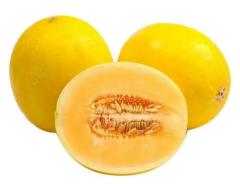 Golden and Smooth Skin with Orange Red Flesh Thick Melon Seeds