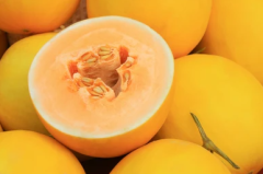 Golden and Smooth Skin with Orange Red Flesh Thick Melon Seeds