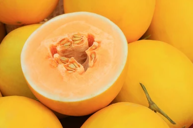 Golden and Smooth Skin with Orange Red Flesh Thick Melon Seeds