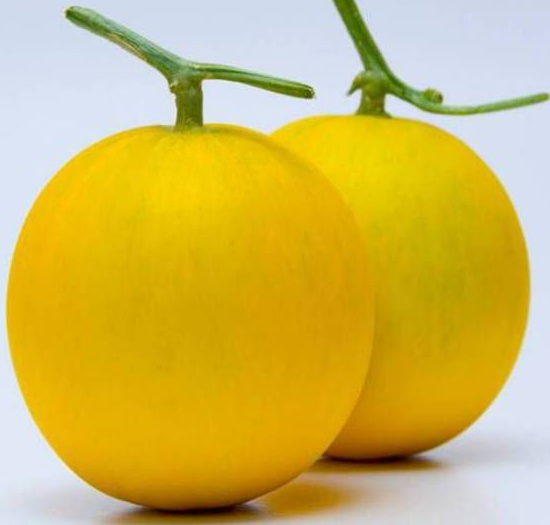 Golden and Smooth Skin with Orange Red Flesh Thick Melon Seeds