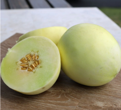 White sweet Round Shape White Honey Dew Melon Seeds