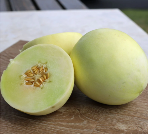 White sweet Round Shape White Honey Dew Melon Seeds