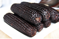 Fresh Black Corn Seeds