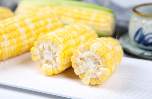Early Maturing Hybrid Bicolor Corn Seeds