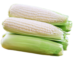 White Corn -Super Sweet with Waxy Seeds