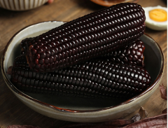 Fresh Black Corn Seeds
