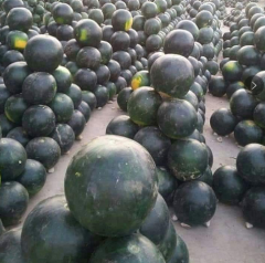 Black Round Seedless Watermelon Seeds