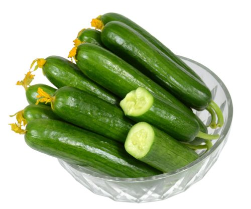 Jasper F1 Fruit Cucumber