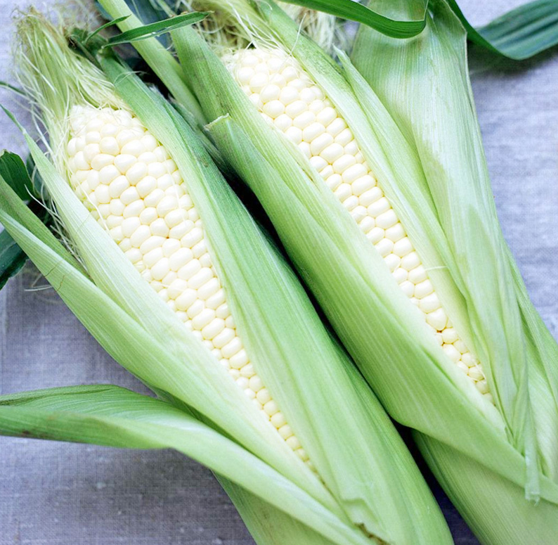 White Corn -Super Sweet with Waxy Seeds