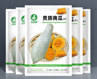 High Yield and Disease Resistance Noble Pumpkin Seeds