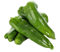 Extra large horn pepper