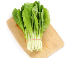 Four Seasons Golden Cabbage