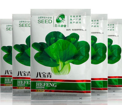 Ba Baoqing Cole Rape Seeds Chinese Vegetable Seeds