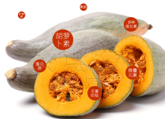 High Yield and Disease Resistance Noble Pumpkin Seeds