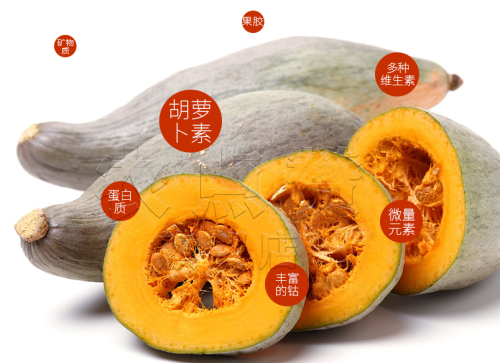 High Yield and Disease Resistance Noble Pumpkin Seeds