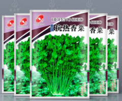 Thai heat-resistant coriander