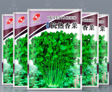 Thai heat-resistant coriander