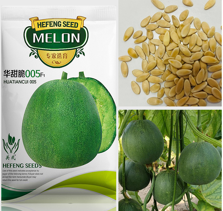Huatiancui 005 Super sweet Genuine Emerald thin skinned sweet crisp melon seed