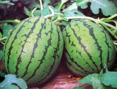 Xianzi