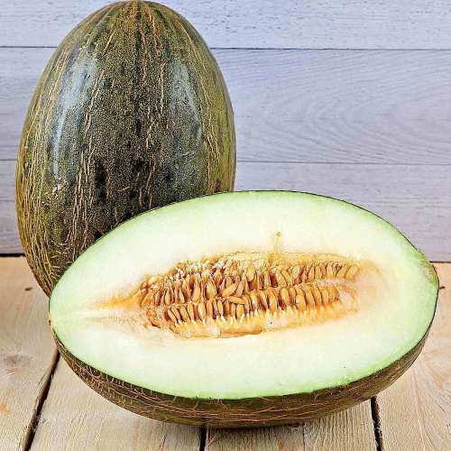 Santa Claus Melon Seeds