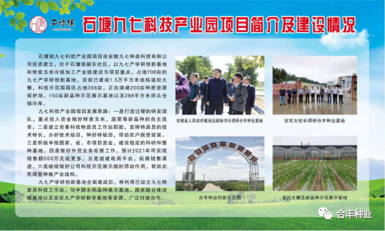 肥东县县委书记姚飞到安徽九七种苗调研