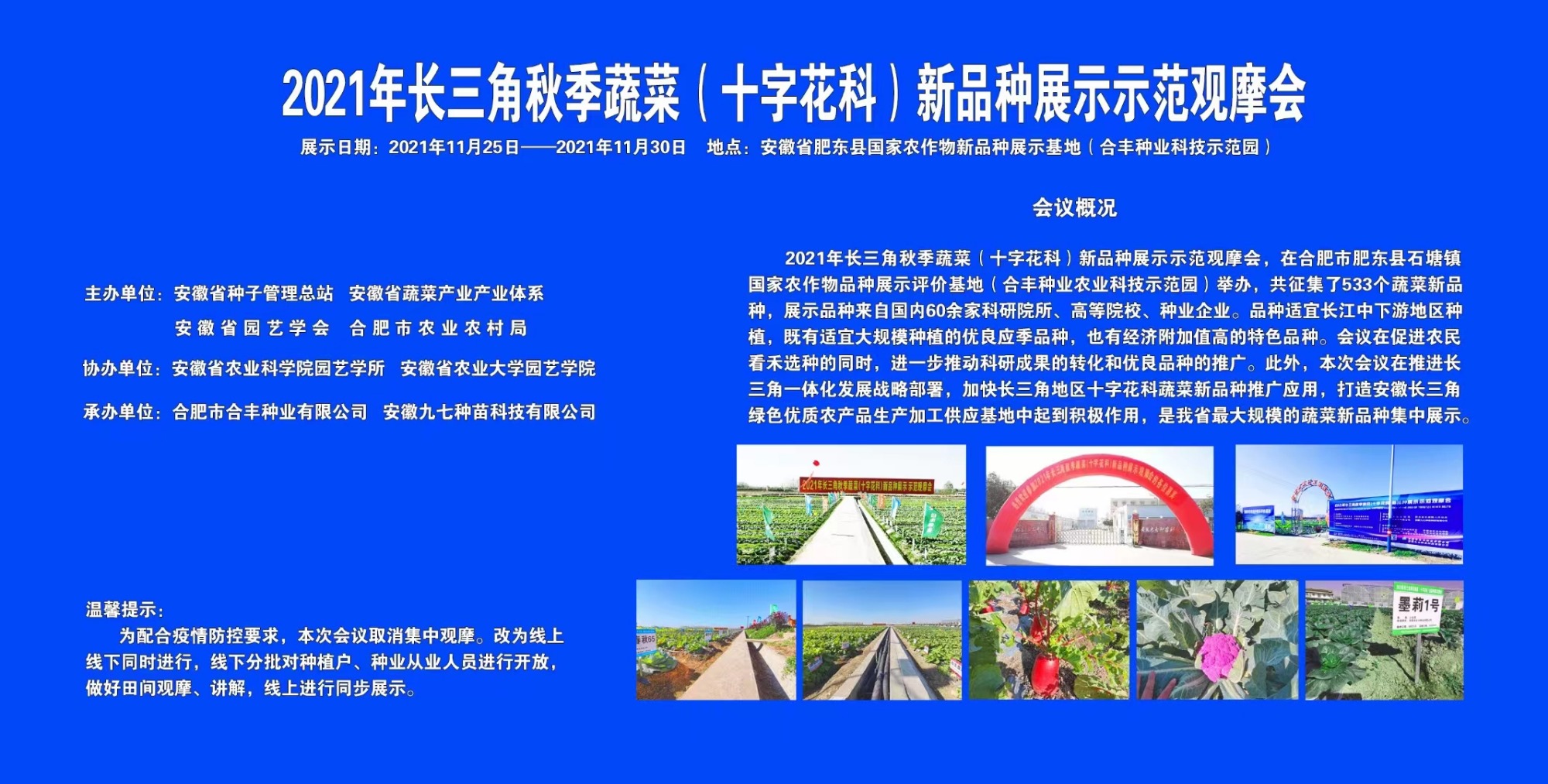 2021年长三角秋季蔬菜(十字花科)新品种展示示范观摩会