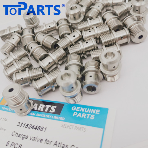 3315244881 Atlas Copco Hydraulic breaker Check valve
