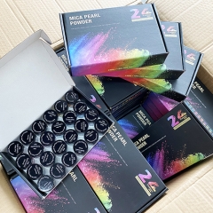 24 colors x 10ml Mica pigment powder kit