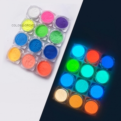 Glow in the dark pigment - 12 colors kit