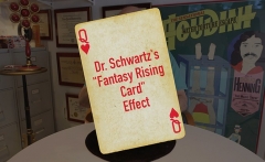 Dr. Schwartz's Fantasy Rising Card