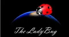 The Ladybug by Hugo Valenzuela