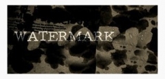 Mathieu Bich - Watermark