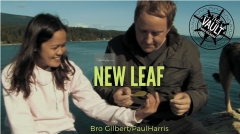 The Vault - New Leaf by Bro Gilbert and Paul Harri