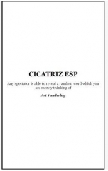 Art Vanderlay - Cicatriz ESP