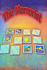 The Memorist by Alex