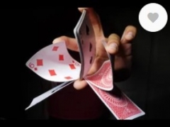 DVD Cardistry Pringull Bundle By Jedrick Prudente