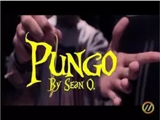 Sean Oulashin - Pungo