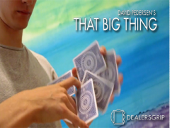 David Pedersen - That Big Thing