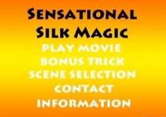 Duane Laflin - Sensational Silk Magic