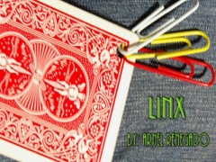 Arnel Renegado - LinX