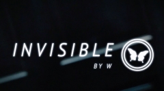 Invisible by W and SansMinds