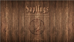 Skymember Presents Saplings by Yu Huihang (Strongly recommended)