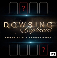 Dowsing Duplicates by T.J. Osbourne