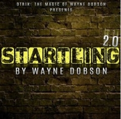 Startling 2.0 by Wayne Dobson