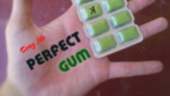 Perfect Gum by Tony Ho and Kelvin Trinh Presents