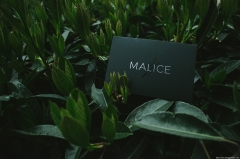 Malice by Eric Jones and Lost Art Magic